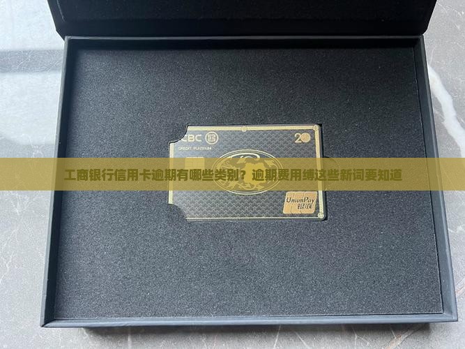 工商银行信用卡逾期有哪些类别？逾期费用缚这些新词要知道
