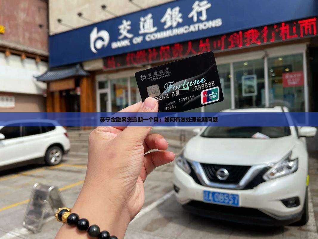 苏宁金融网贷逾期一个月：如何有效处理逾期问题