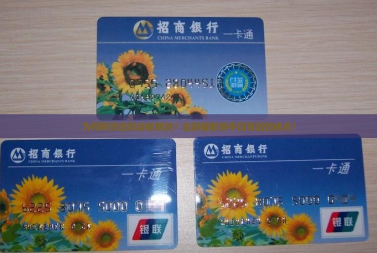 为何网贷逾期会收到渤？逾期催收新手段背后的痛点！
