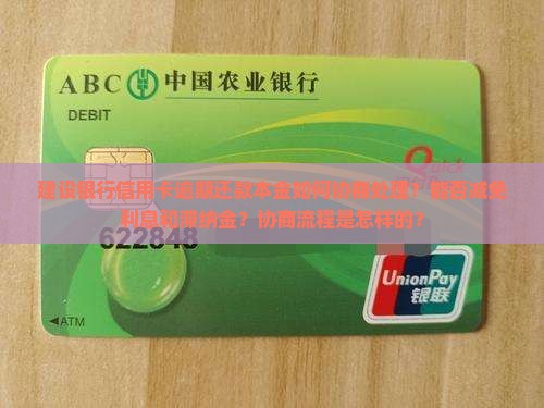 建设银行信用卡逾期还款本金如何协商处理？能否减免利息和滞纳金？协商流程是怎样的？