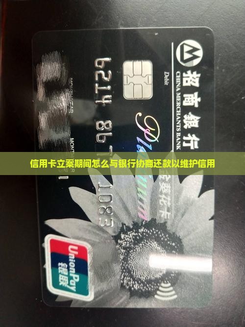 信用卡立案期间怎么与银行协商还款以维护信用