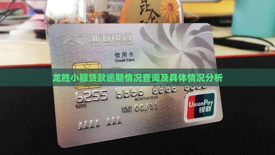 龙胜小额贷款逾期情况查询及具体情况分析