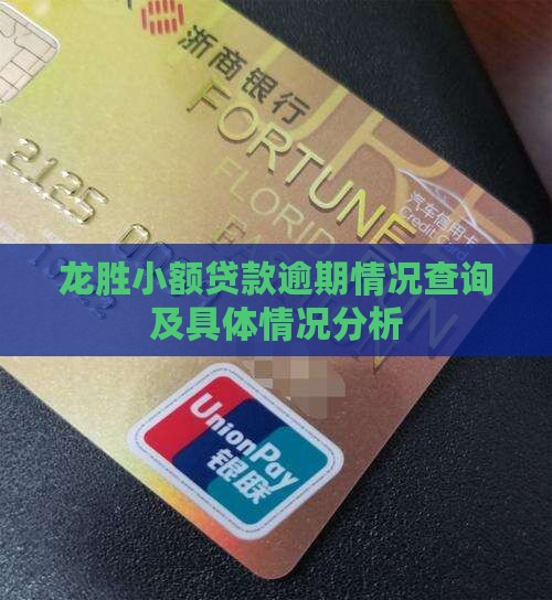 龙胜小额贷款逾期情况查询及具体情况分析
