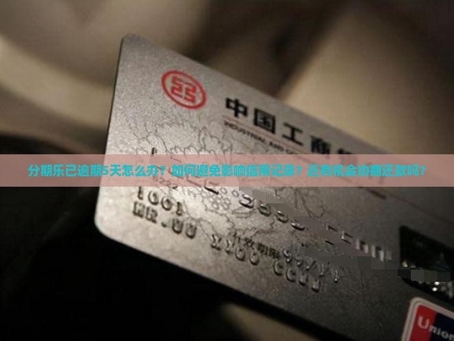 分期乐已逾期5天怎么办？如何避免影响信用记录？还有机会协商还款吗？