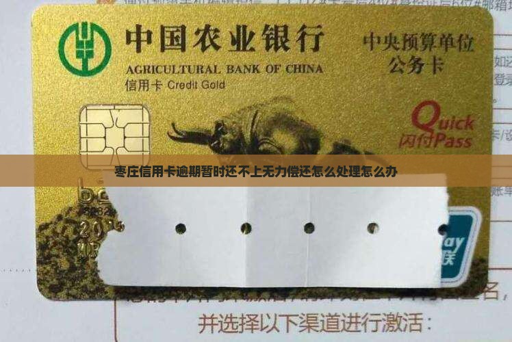枣庄信用卡逾期暂时还不上无力偿还怎么处理怎么办