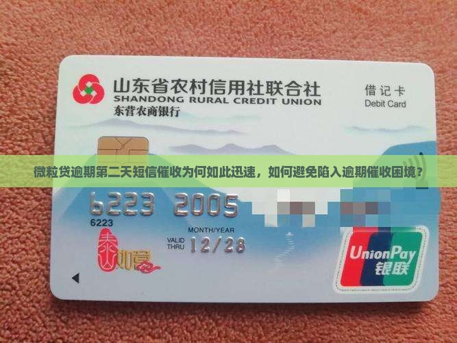 微粒贷逾期第二天短信催收为何如此迅速，如何避免陷入逾期催收困境？