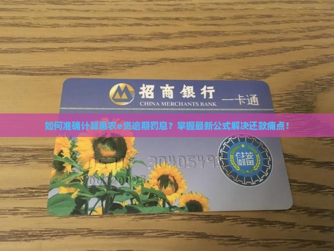 如何准确计算惠农e贷逾期罚息？掌握最新公式解决还款痛点！