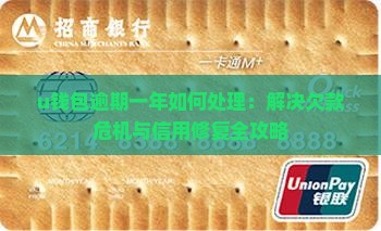 u钱包逾期一年如何处理：解决欠款危机与信用修复全攻略