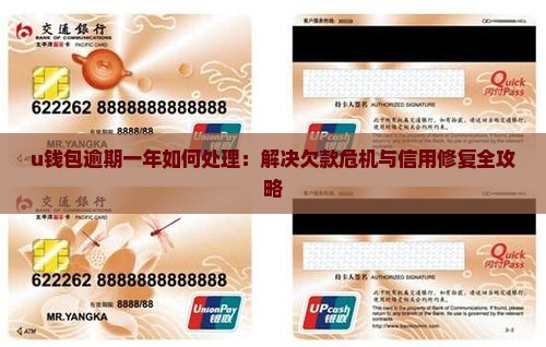 u钱包逾期一年如何处理：解决欠款危机与信用修复全攻略