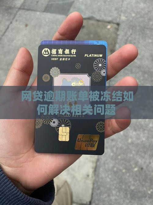 网贷逾期账单被冻结如何解决相关问题