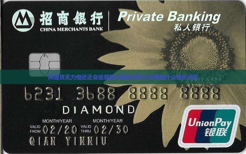 网捷贷无力偿还还会逾期带来哪些后果还会面临什么偿还问题