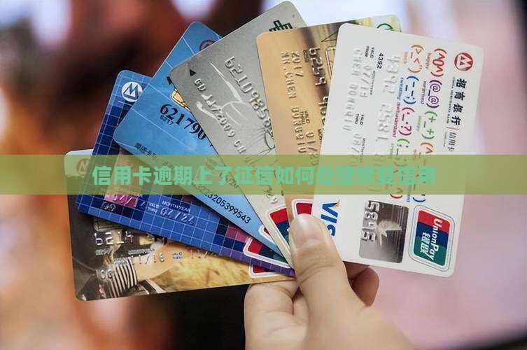 信用卡逾期上了征信如何处理修复信用