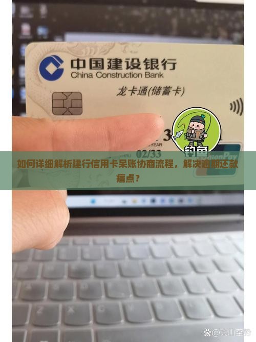 如何详细解析建行信用卡呆账协商流程，解决逾期还款痛点？