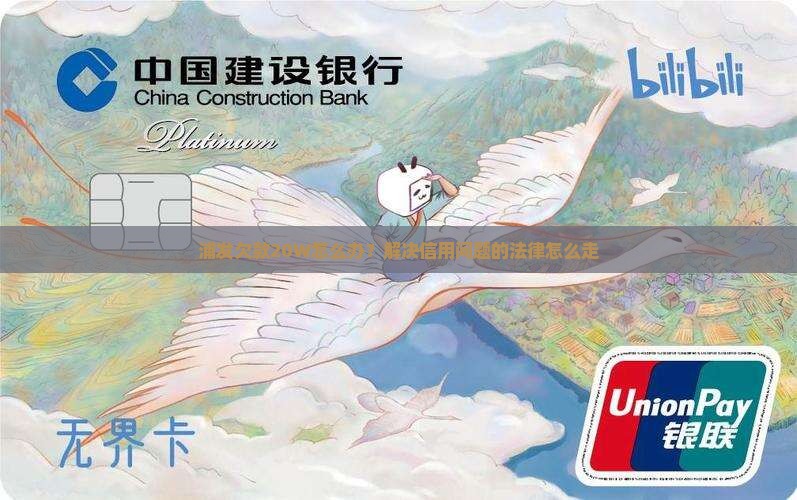 浦发欠款20W怎么办？解决信用问题的法律怎么走
