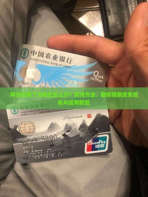 网贷逾期了没钱还怎么办？解决方法，助你摆脱债务危机与信用修复
