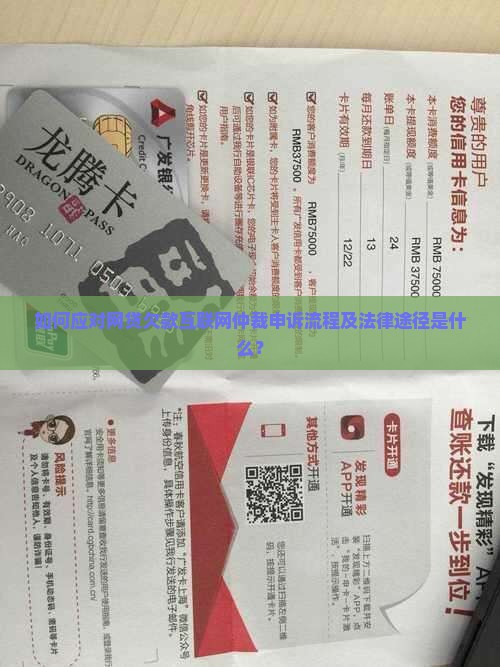 如何应对网贷欠款互联网仲裁申诉流程及法律途径是什么？