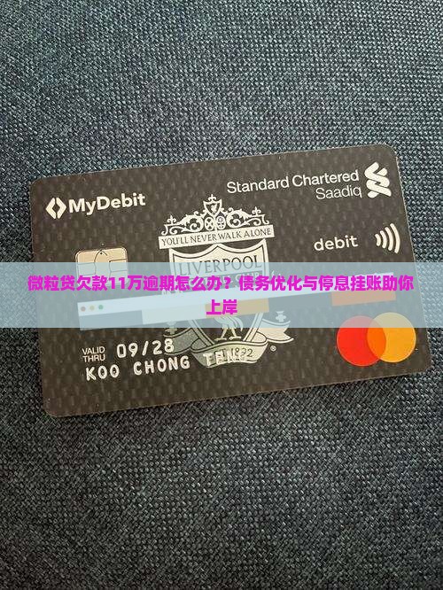 微粒贷欠款11万逾期怎么办？债务优化与停息挂账助你上岸