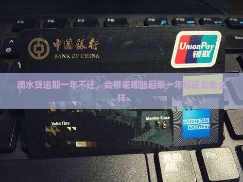 滴水贷逾期一年不还，会带来哪些后果一年后还会怎么样