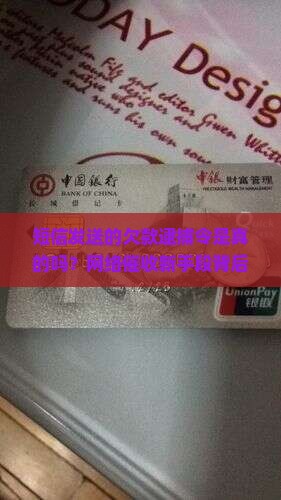 短信发送的欠款逮捕令是真的吗？网络催收新手段背后的法律风险与个人权益保护