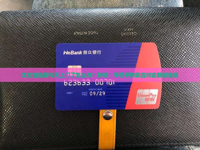 支付宝逾期今天上门了怎么办？别慌！手把手教你应对逾期新法规