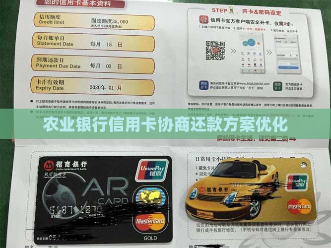 农业银行信用卡协商还款方案优化