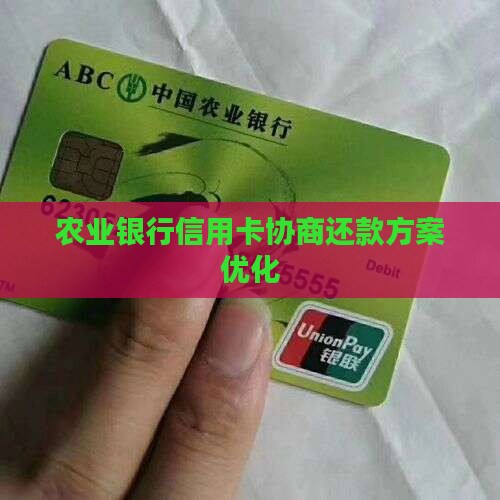 农业银行信用卡协商还款方案优化
