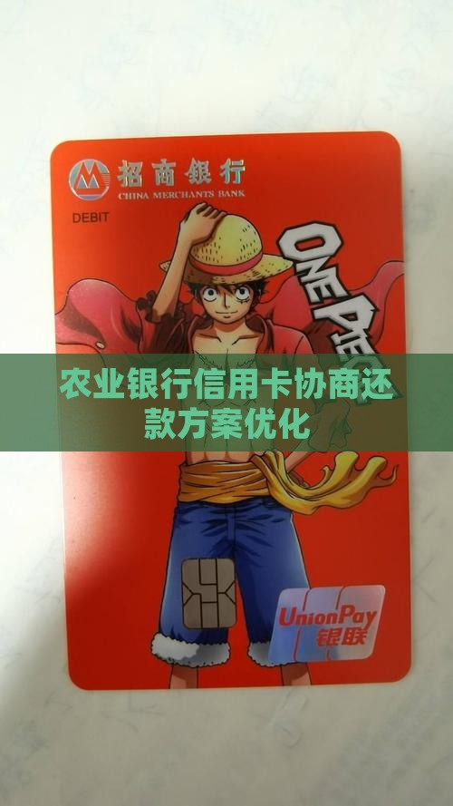 农业银行信用卡协商还款方案优化
