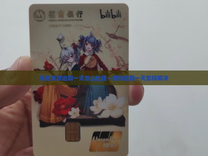 乐花贷款逾期一天怎么处理—借钱逾期一天怎样解决