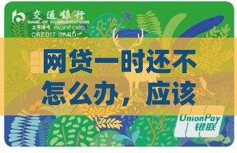 网贷一时还不怎么办，应该如何应对？