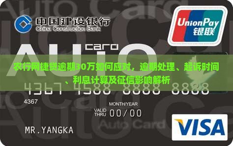 农行网捷贷逾期30万如何应对，逾期处理、起诉时间、利息计算及征信影响解析