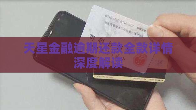天星金融逾期还款全款详情深度解读