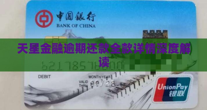 天星金融逾期还款全款详情深度解读