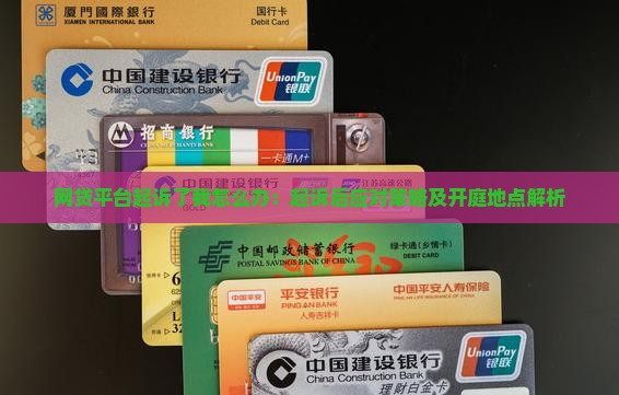 网贷平台起诉了我怎么办：起诉后应对策略及开庭地点解析