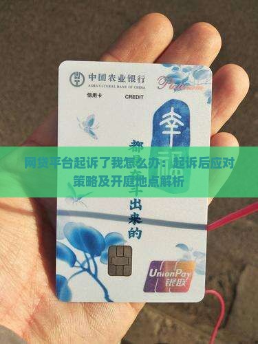 网贷平台起诉了我怎么办：起诉后应对策略及开庭地点解析