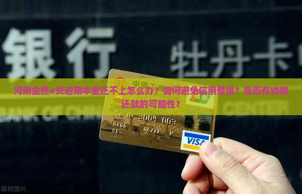 河南金燕e贷逾期本金还不上怎么办？如何避免信用受损？是否有协商还款的可能性？