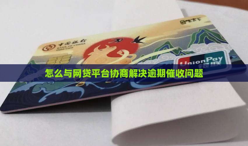 怎么与网贷平台协商解决逾期催收问题