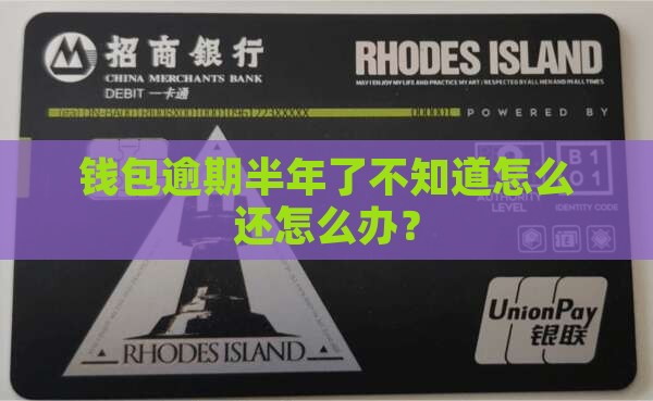 钱包逾期半年了不知道怎么还怎么办？