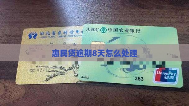 惠民贷逾期8天怎么处理