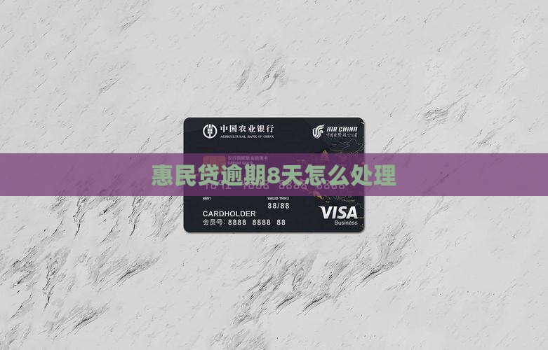 惠民贷逾期8天怎么处理