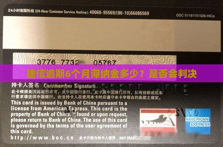 捷信逾期6个月滞纳金多少？是否会判决