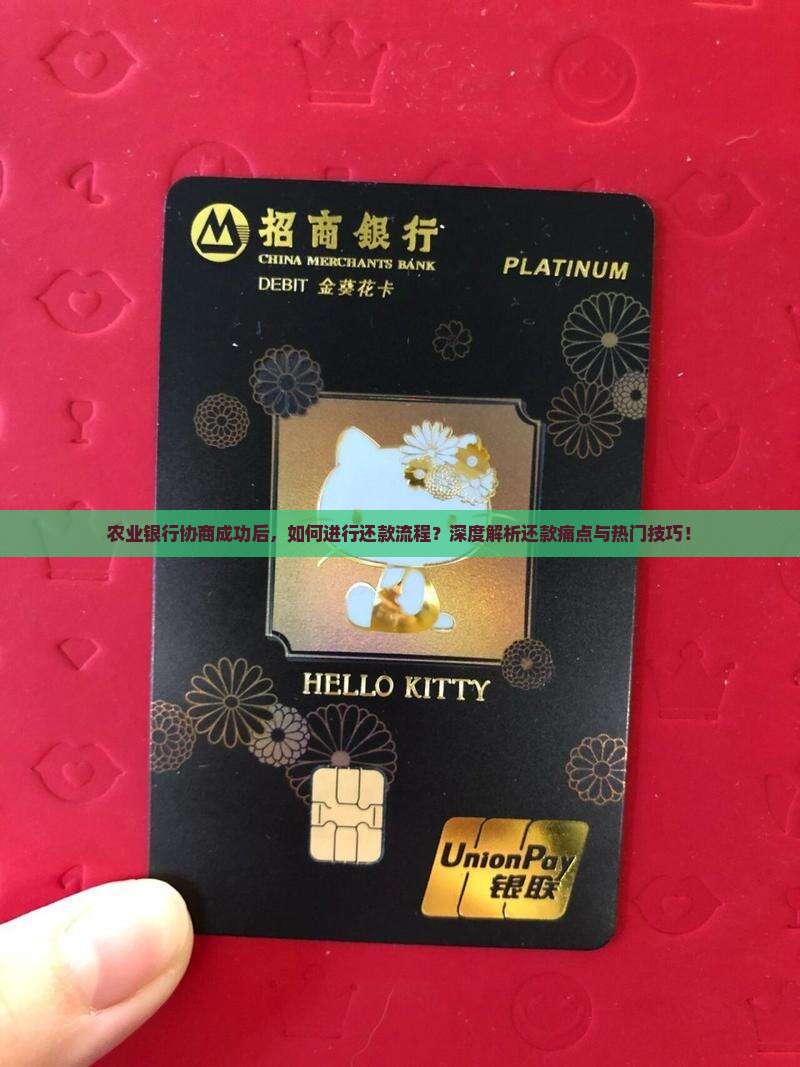 农业银行协商成功后，如何进行还款流程？深度解析还款痛点与热门技巧！