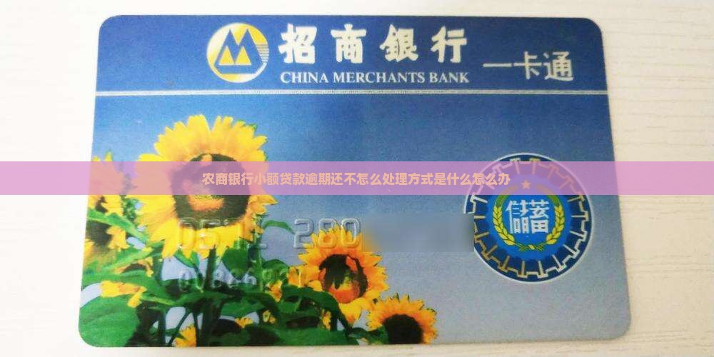 农商银行小额贷款逾期还不怎么处理方式是什么怎么办