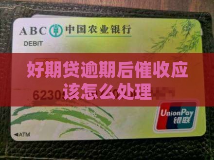 好期贷逾期后催收应该怎么处理