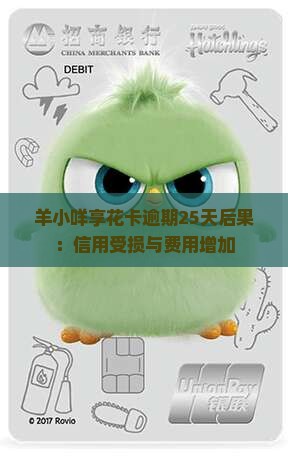 羊小咩享花卡逾期25天后果：信用受损与费用增加