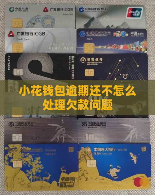 小花钱包逾期还不怎么处理欠款问题