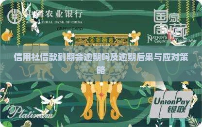 信用社借款到期会逾期吗及逾期后果与应对策略