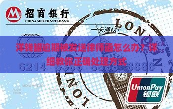 洋钱罐逾期被发送律师函怎么办？详细教你正确处理方式