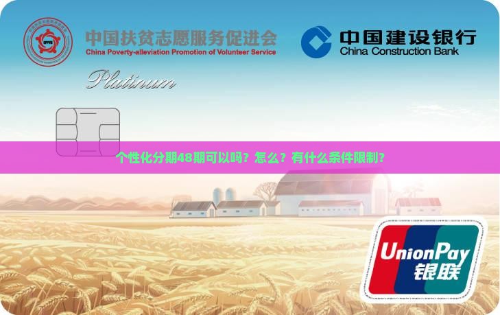 个性化分期48期可以吗？怎么？有什么条件限制？