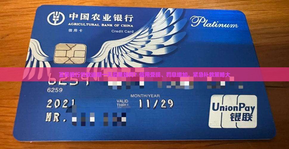 富民银行贷款逾期一天后果如何？信用受损、罚息增加，紧急补救策略大