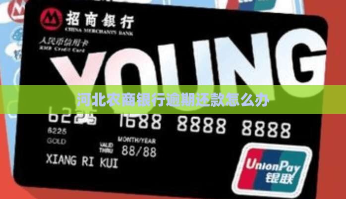 河北农商银行逾期还款怎么办